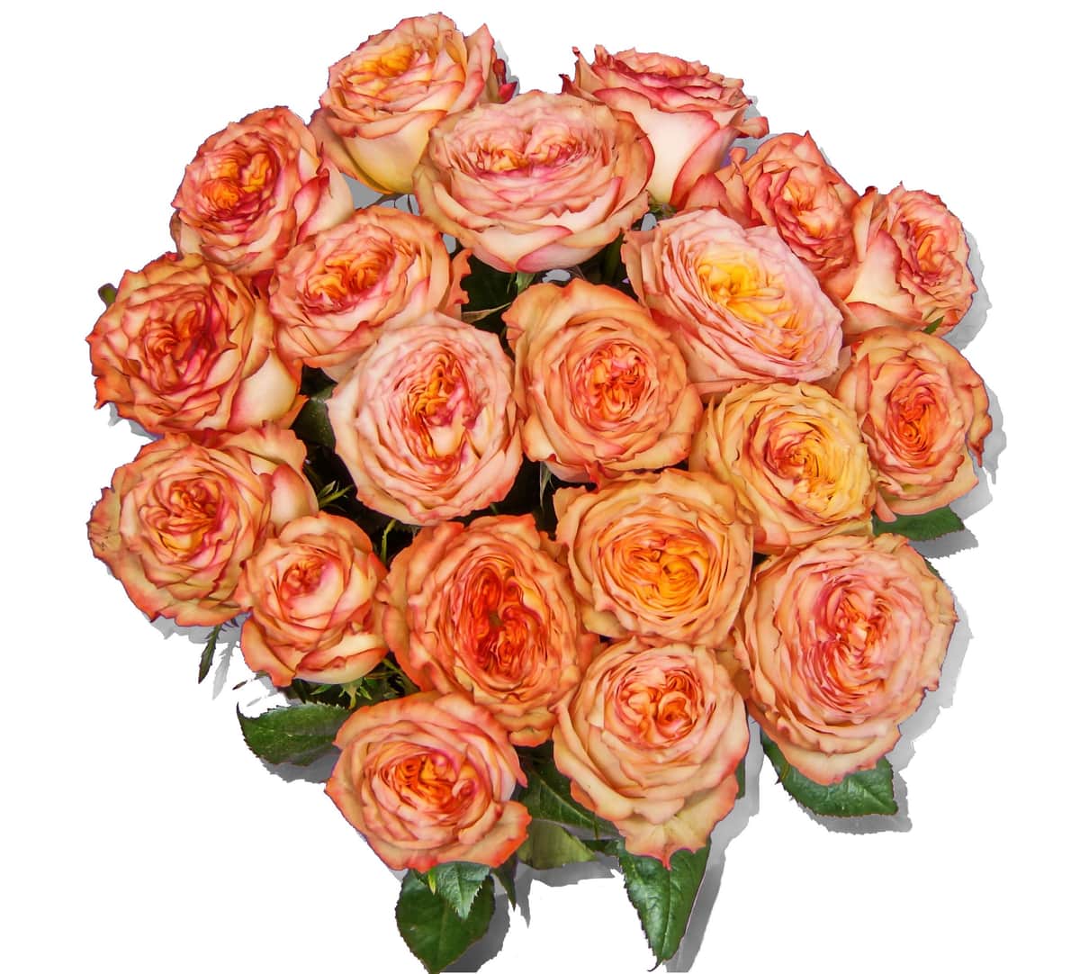 Blumenstrauß Jean – frisch vom Münchner Floristen