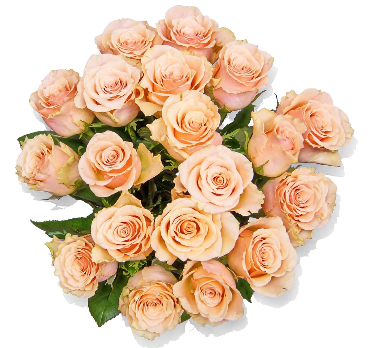 Blumenstrauß Jill – frisch vom Münchner Floristen