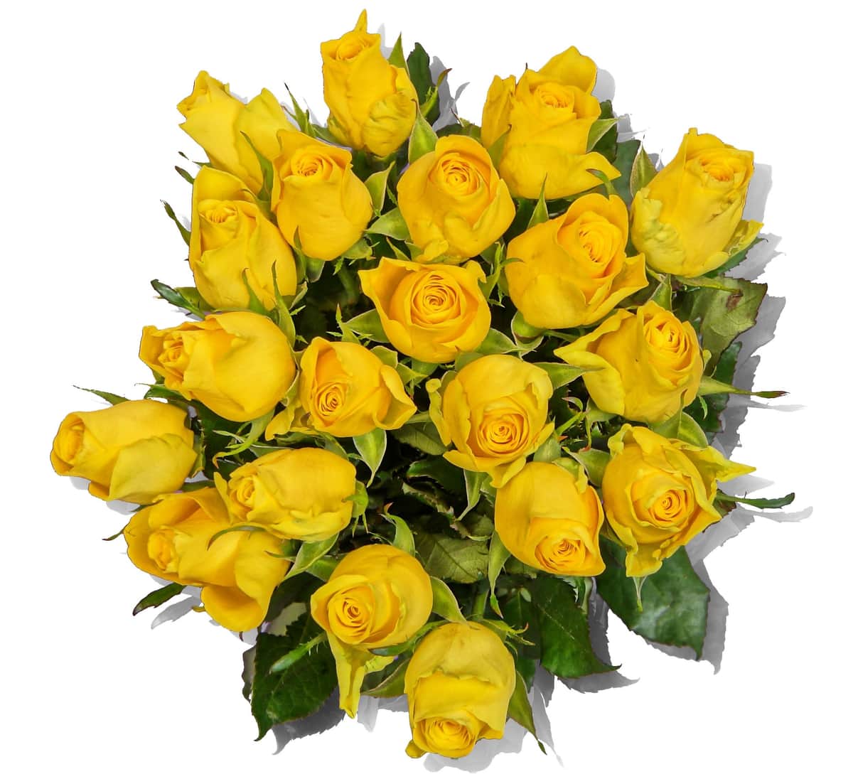 Blumenstrauß Joal – frisch vom Münchner Floristen