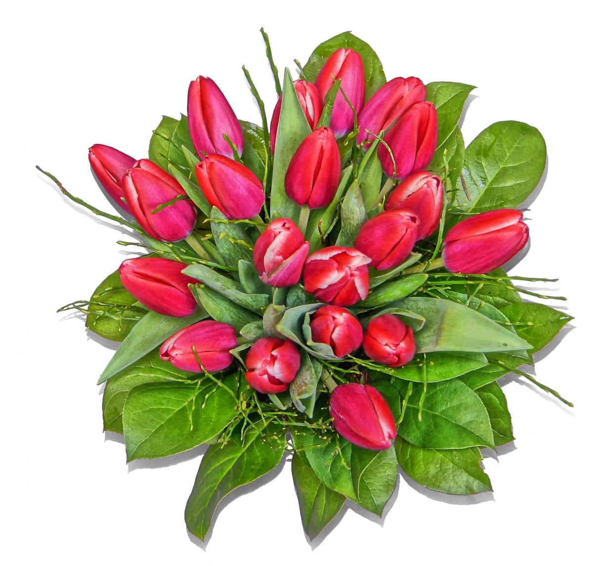 Blumenstrauß Lava – frisch vom Münchner Floristen