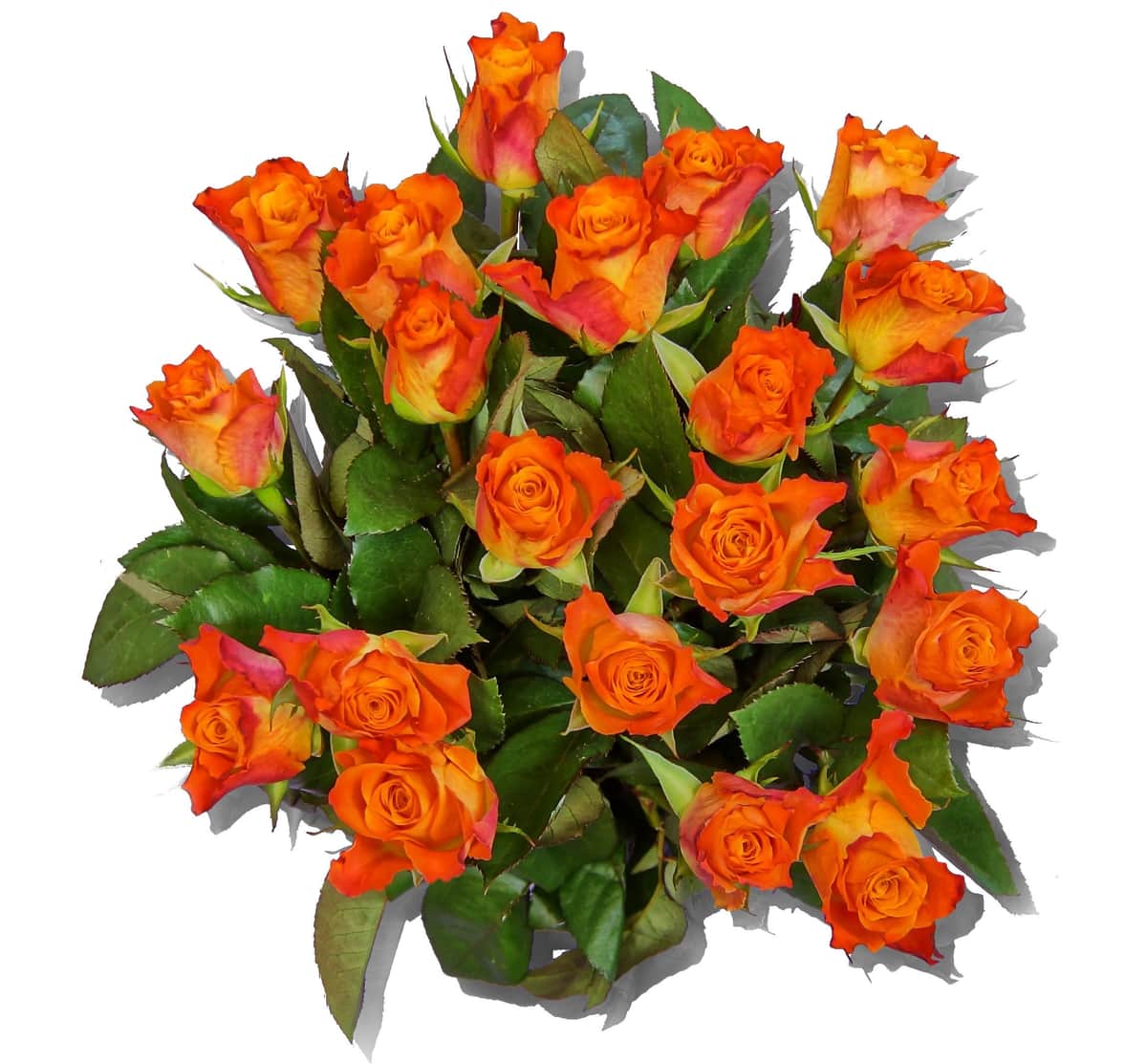 Blumenstrauß Nova – frisch vom Münchner Floristen