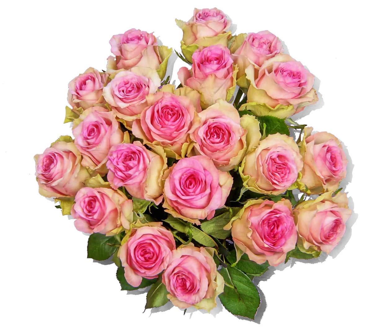 Blumenstrauß Nuri – frisch vom Münchner Floristen