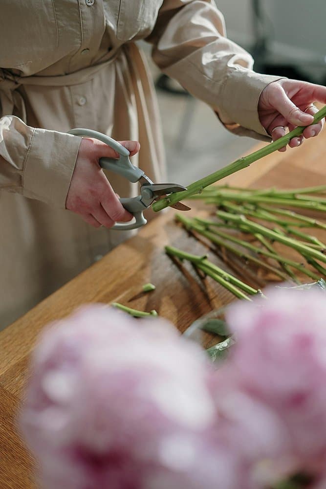 Team Building Workshop – gemeinsames Gestalten